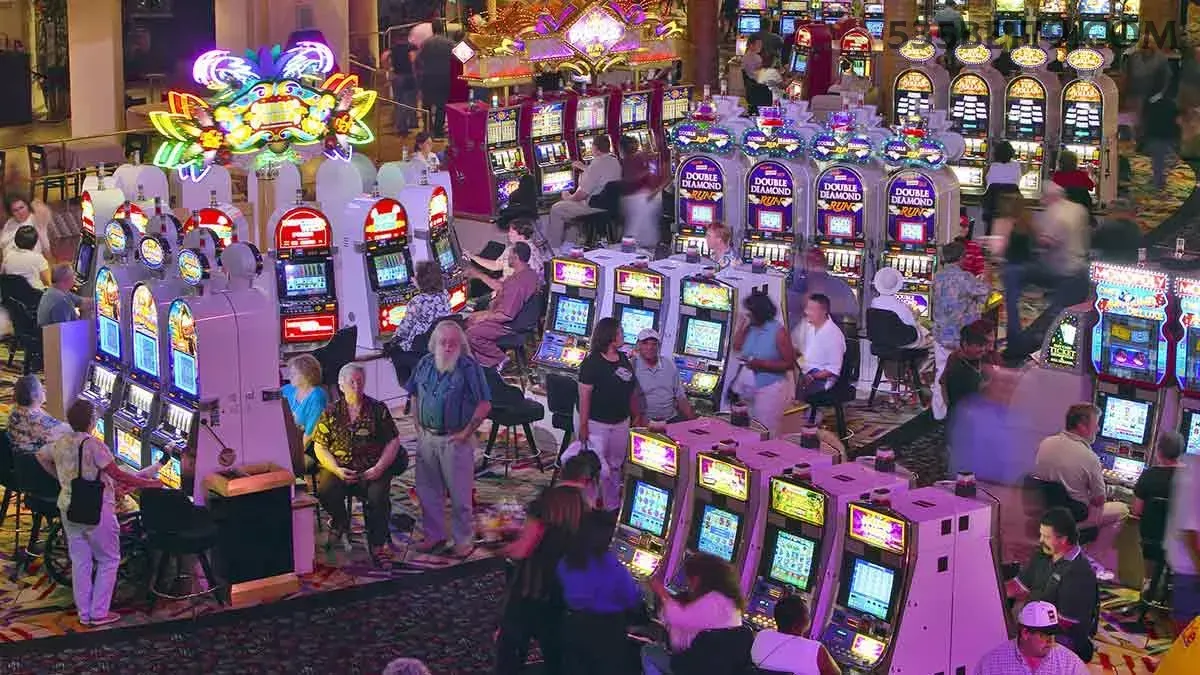 App 535bet slots mobile